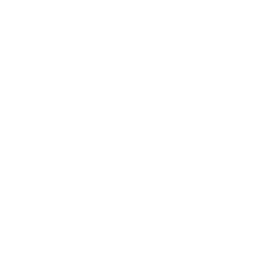 vision